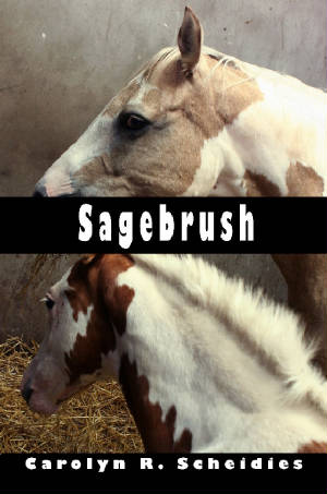 smallsagebrushcover3.jpg